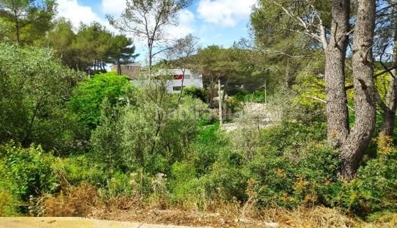 Foto 7839ab47-bbfb-4147-bc4e-54cba208c864. Terreny residencial a Olivella