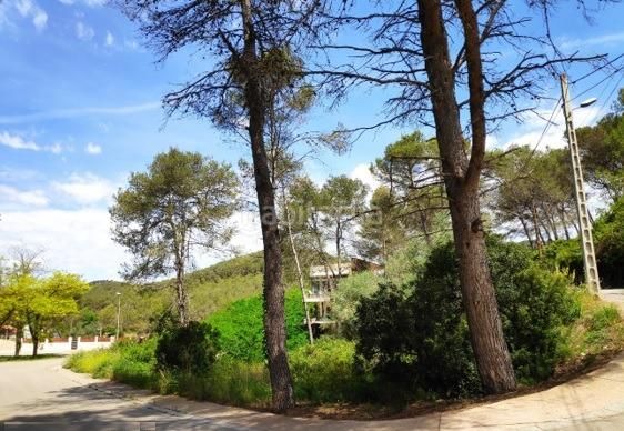 Foto bb4f8bfb-2136-4f4b-b4de-91e85f19aad4. Terreny residencial a Olivella
