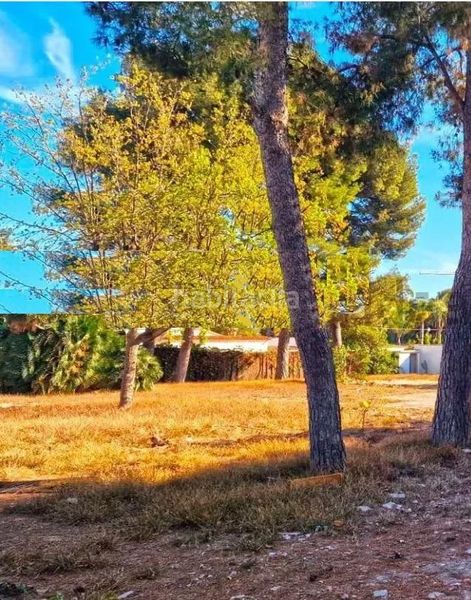 Foto 387cb403-9056-43ed-bd23-443e6fa27370. Terreny residencial a Can Girona - Terramar - Vinyet Sitges