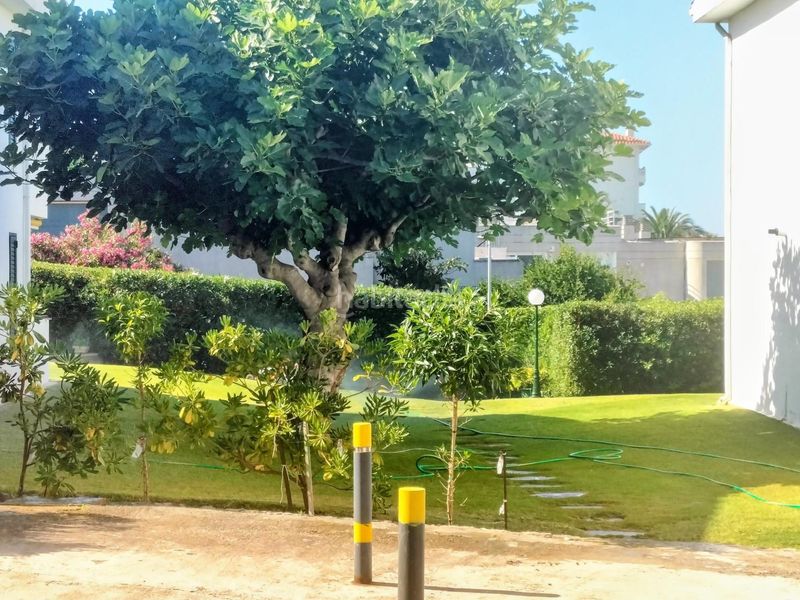 Foto 30ced83a-cd6f-4459-86a2-72fca5a2944f. Estudio  en venta en Aiguadolç - Sant Sebastià Sitges