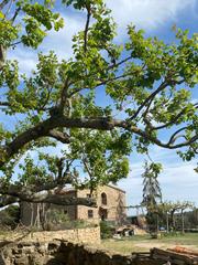Casa a Baronia de Rialb (La). Casa pueblo en venta en vilanova de meià, 6 dormitorios.