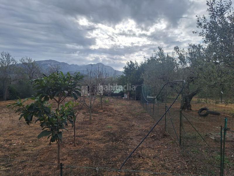 Foto 6aba29f1-7bad-4e4d-9e55-edf1b7d13d61. Terreno residenziale in Pratdip