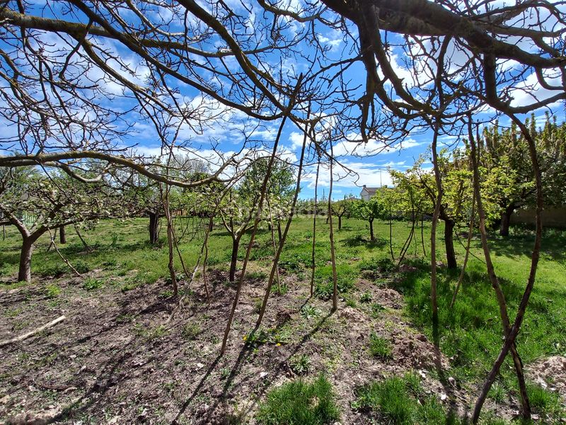 Foto 11cb4470-3fc3-47bd-a177-a8fd7baef7a4. Masia amb xemeneia a Cayuela