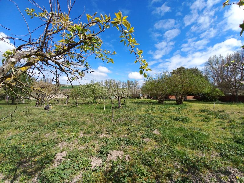 Foto 397566c8-069d-4c50-a5e1-2c72de3d4a63. Masia amb xemeneia a Cayuela