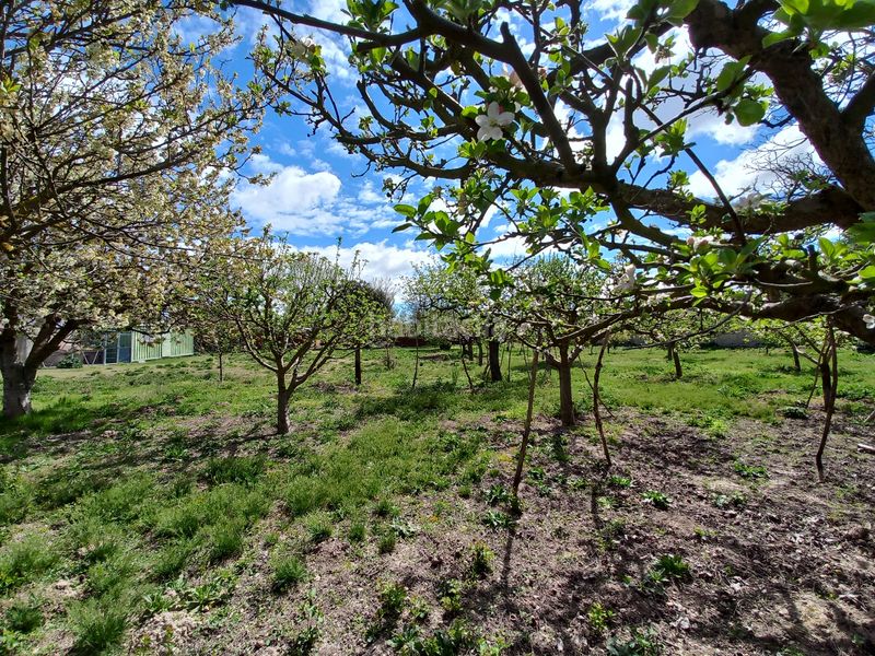 Foto 6ebd9815-6c07-4d3a-b2c7-ca323f3a58b3. Masia amb xemeneia a Cayuela