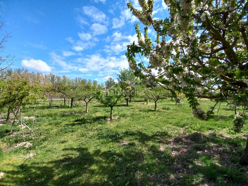 Foto 7ba72efb-8c35-4241-88d5-566749d225fa. Masia amb xemeneia a Cayuela