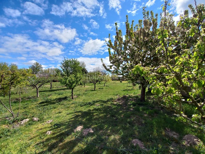 Foto f2936d5c-b3b9-4cca-bcca-79da041a8878. Masia amb xemeneia a Cayuela