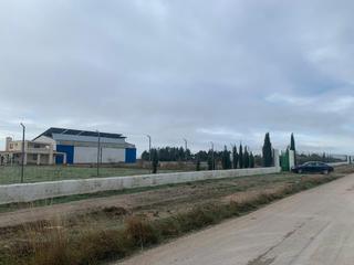 Fabrikhalle in Pedanías - Extrarradio