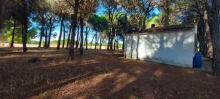 Masia a Fuensanta. Tu refugio en la naturaleza te está esperando