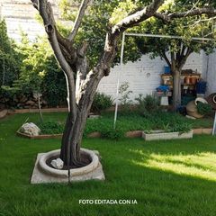 Casa a Roda (La). Casa de pueblo en la roda