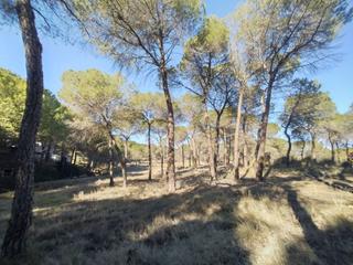 Propriété à Villalgordo del Júcar. Terreno