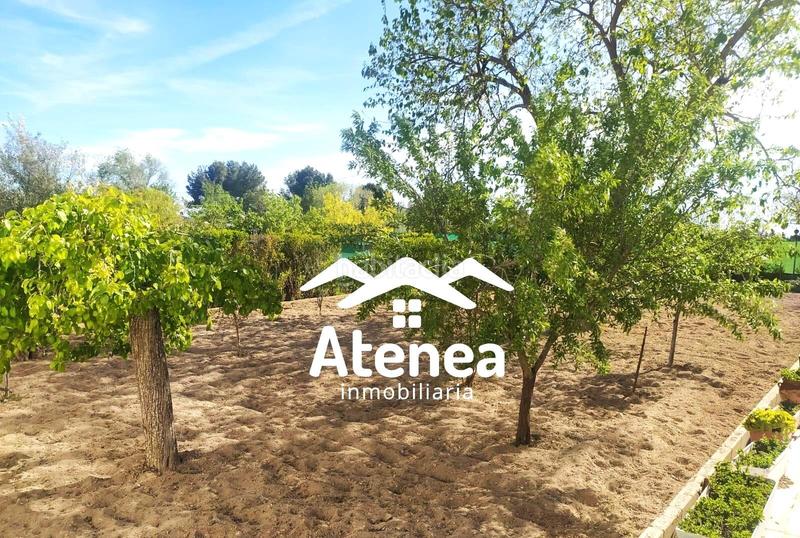 Foto 3215483c-5b27-4ff3-9fa9-5a25bf715194. Chalet avec piscine dans Feria Albacete