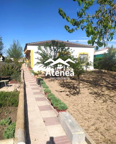 Foto 8b478dd9-8897-4f5a-a2b0-78a11ff4348d. Chalet avec piscine dans Feria Albacete