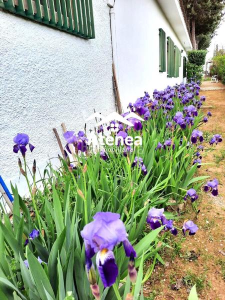 Foto 14c4046a-09c1-4a47-9779-538d541eb999. Chalet en Pedanías - Extrarradio Albacete