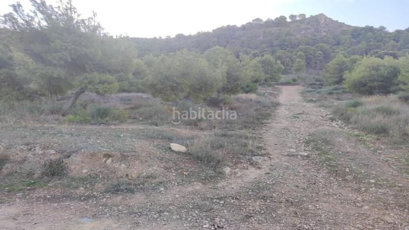 Foto 80d630b9-6143-41dc-834a-676a3720193d. Terreny residencial a Torreagüera Murcia