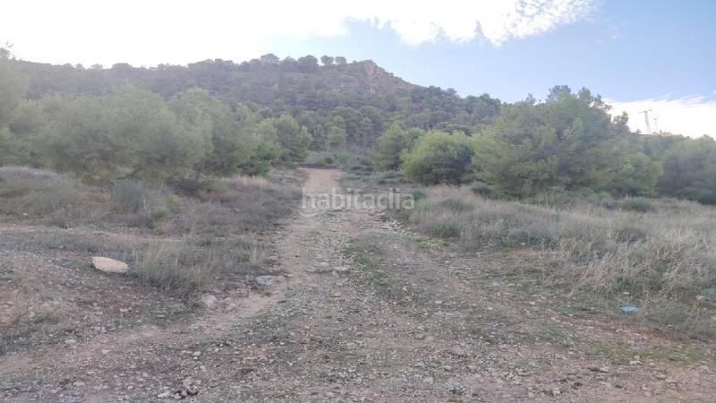 Foto bc45f4b6-26d4-4d4a-9885-390869318379. Terreny residencial a Torreagüera Murcia