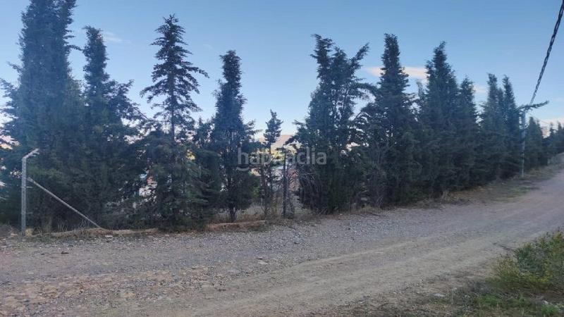 Foto 49d4b308-71a5-487a-aecc-f5b3efe2154a. Residential plot in Torreagüera Murcia