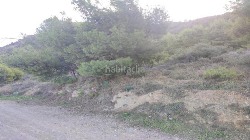 Foto eb50a8c5-e5b1-45e3-b04e-cd95dfb42300. Residential plot in Torreagüera Murcia