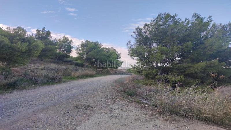 Foto fdc6d0d5-6407-49a0-8232-40c3c8c89c3d. Residential plot in Torreagüera Murcia