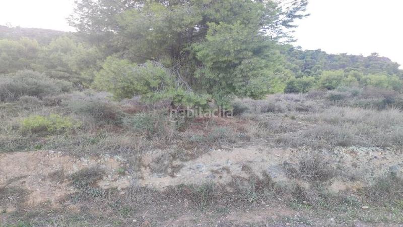 Foto 09770706-cb70-4ee7-b81d-ebbe2fbcf43a. Terreno residenziale in Torreagüera Murcia