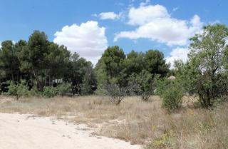 Terreny residencial a Caravaca de la Cruz