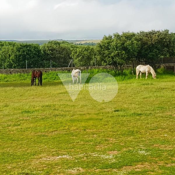 Foto a077ef1e-71ba-4848-b258-e04888193c88. Casa amb calefacció a Pedrezuela