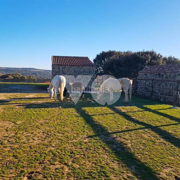Foto d446cf52-d697-4e58-97a8-d14a2817c239. Casa amb calefacció a Pedrezuela