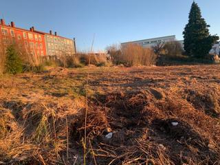 Terreno residenziale  Camiño de o gollo