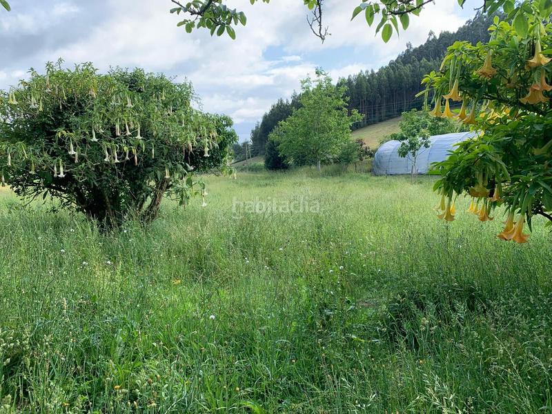 Foto ee16a122-b8aa-4341-995c-cd21d564ad35. Casa amb aparcament a Sedes - Pedroso - Doso Narón