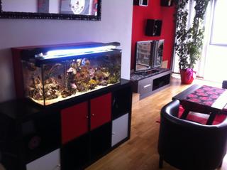 Appartement  N/a