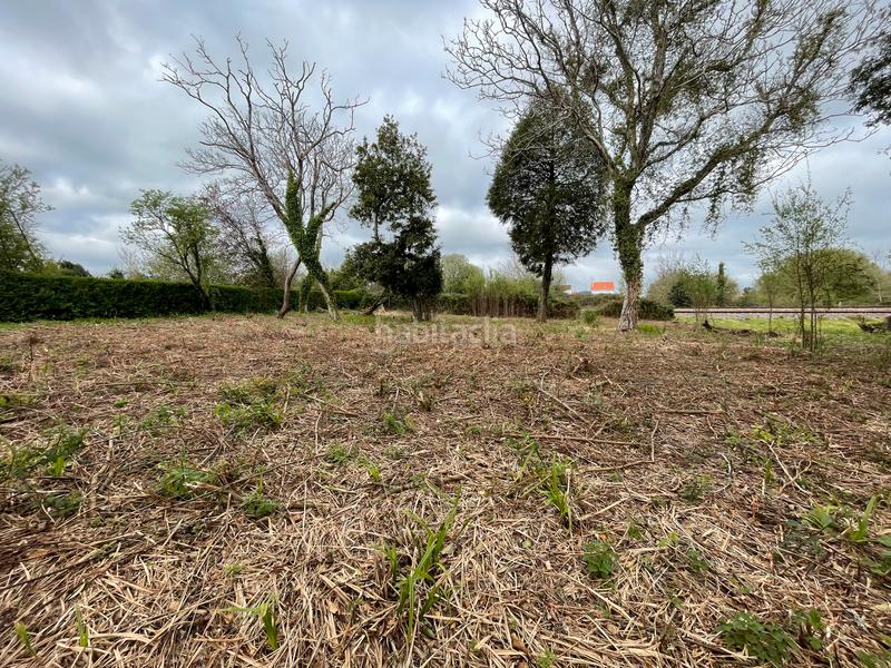 Foto 469ded5e-a692-4499-af6e-e1f510027b1a. Residential plot in n/a in San Juan Ferrol