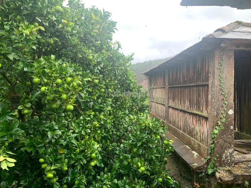 Foto 332c811c-b0f6-4607-9671-4bd343b7e1e9. Casale in Moeche