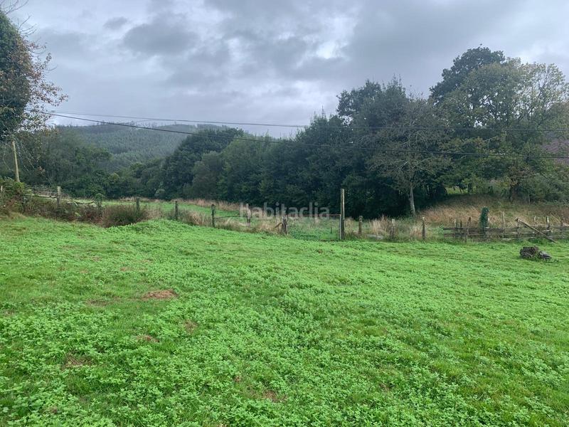 Foto 5a53b420-4931-4e20-9fa9-a66d5a7ccca9. Casale in Moeche