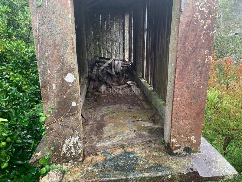 Foto 755ba416-2211-4ab5-8b14-ff67d58bd44c. Casale in Moeche