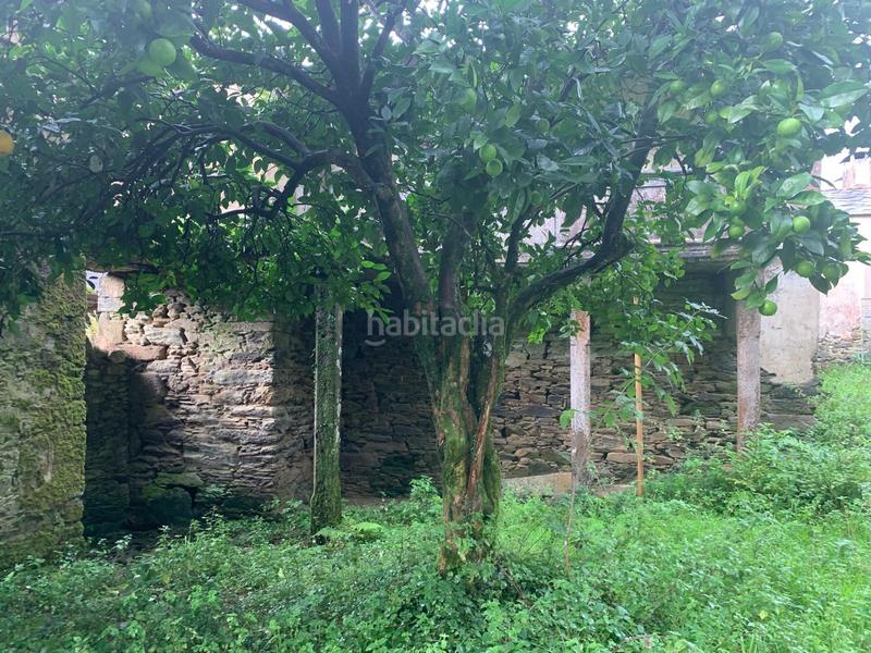 Foto e0678975-3c22-4fe6-b500-a9f7017dc77f. Casale in Moeche