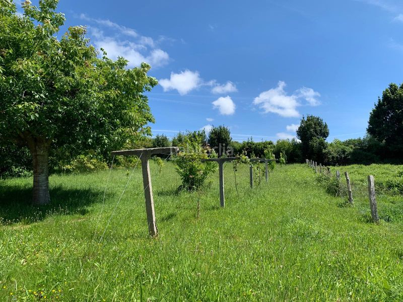 Foto 3f134c30-7c70-492a-8cfd-a925e41ea421. Xalet amb calefacció a Neda