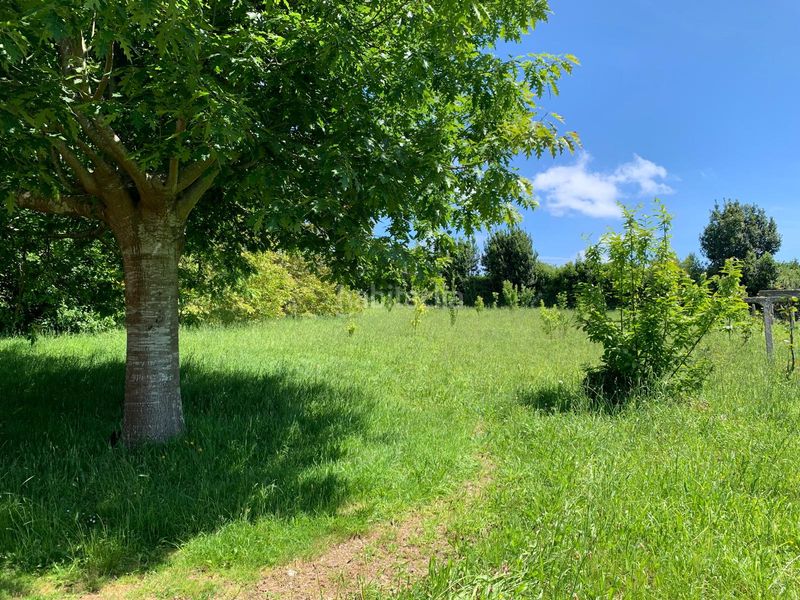 Foto 465bec09-31c3-4884-af4f-92fea5ba79c8. Xalet amb calefacció a Neda