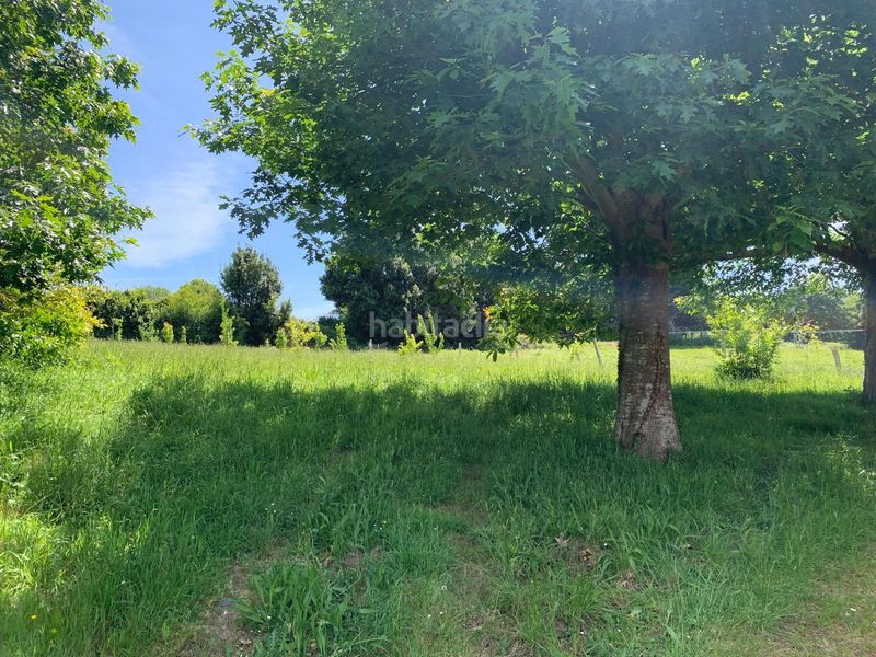 Foto cce04f9e-0743-491a-aff9-69d4544cbc5b. Xalet amb calefacció a Neda