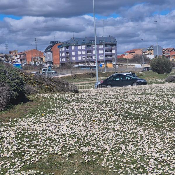 Foto a0b62798-5aba-49f1-8e4a-a68ad480e776. Appartamento in La Asunción - La Inmaculada León