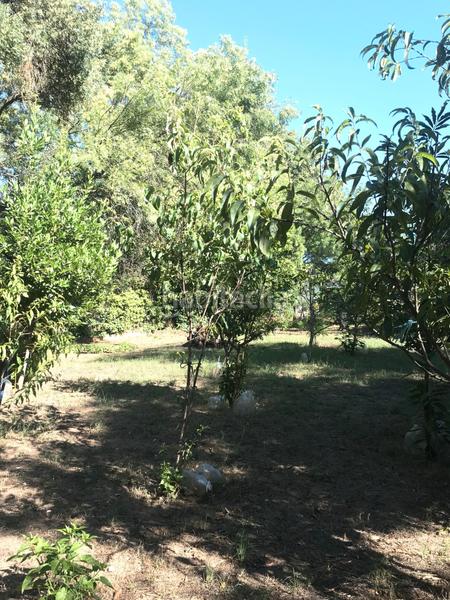 Foto f61b37f1-5785-4a69-b6e3-d75b0025ba63. Finca rústica en calle virgen puerto 20 parcela en carretera del valle. el espartal en Plasencia