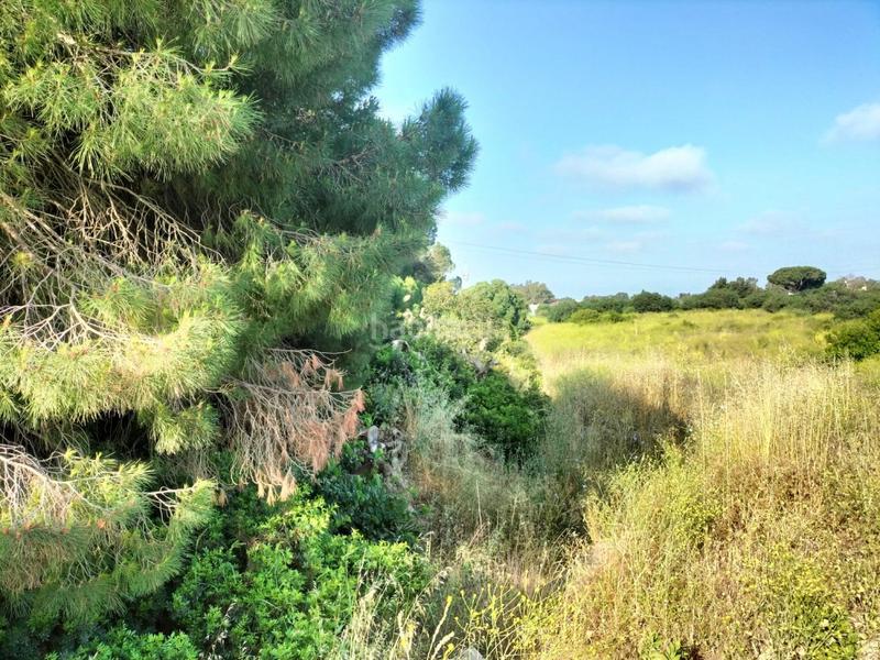 Foto 2a72b484-d50e-482e-b20e-84f16c1e12b8. Finca rústica parcela rústica en Villanueva Golf Puerto Real