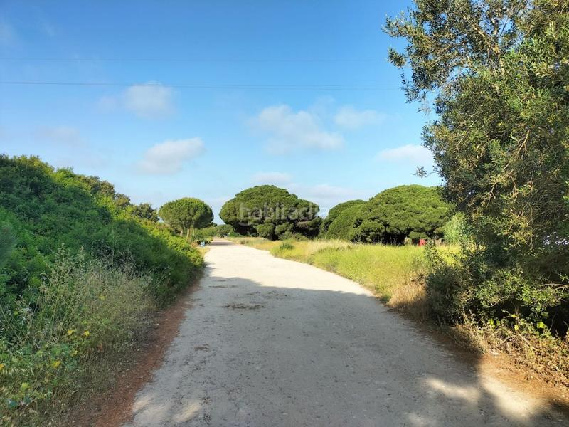 Foto 2b552a0c-ae01-47ac-8f46-185ee3f4c3fb. Finca rústica parcela rústica en Villanueva Golf Puerto Real