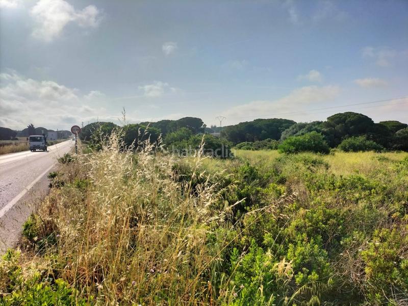 Foto 47698543-3a9e-4cc2-892e-de9d8602e81c. Finca rústica parcela rústica en Villanueva Golf Puerto Real