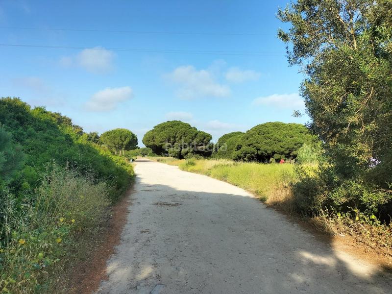 Foto ae15ae90-057b-4222-87f3-e308cf908334. Finca rústica parcela rústica en Villanueva Golf Puerto Real