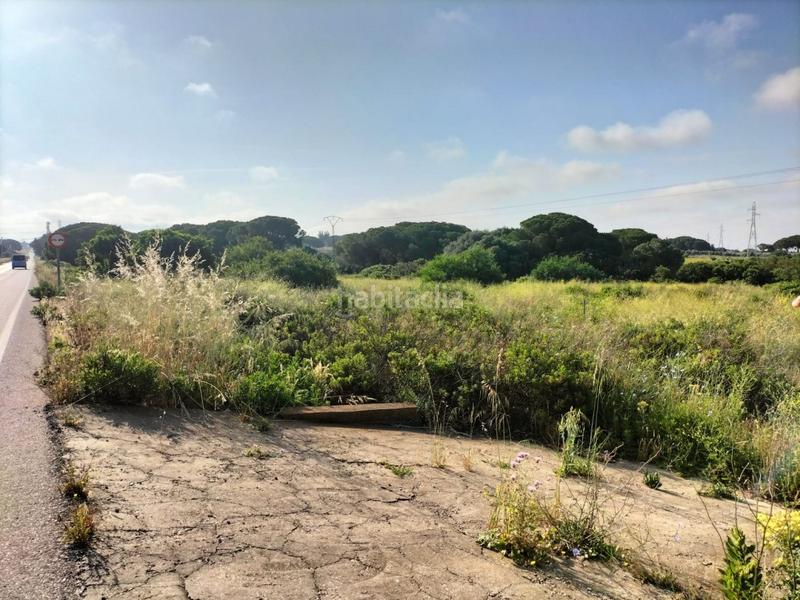 Foto df990474-9a77-48b1-8123-d3e39c53f953. Finca rústica parcela rústica en Villanueva Golf Puerto Real