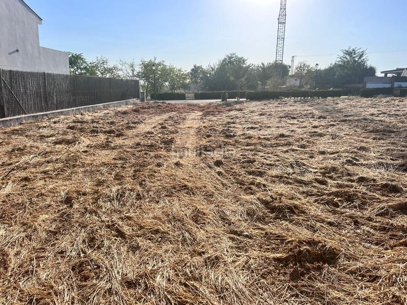 Foto 372cc183-84ed-4eef-96cc-3ec5ab481cce. Terrain résidentiel dans Carretera de Sevilla - Los Montitos Badajoz