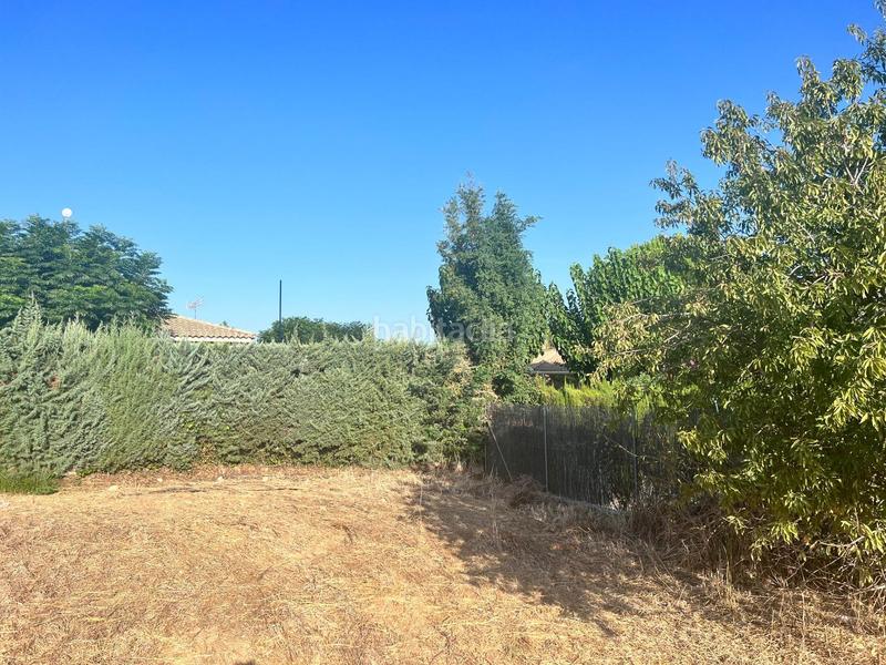 Foto bd5fb18c-fd8b-4715-bc0b-9461a88750e1. Terrain résidentiel dans Carretera de Sevilla - Los Montitos Badajoz