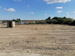 Masia a El Almedral. Finca rustica proindivisa