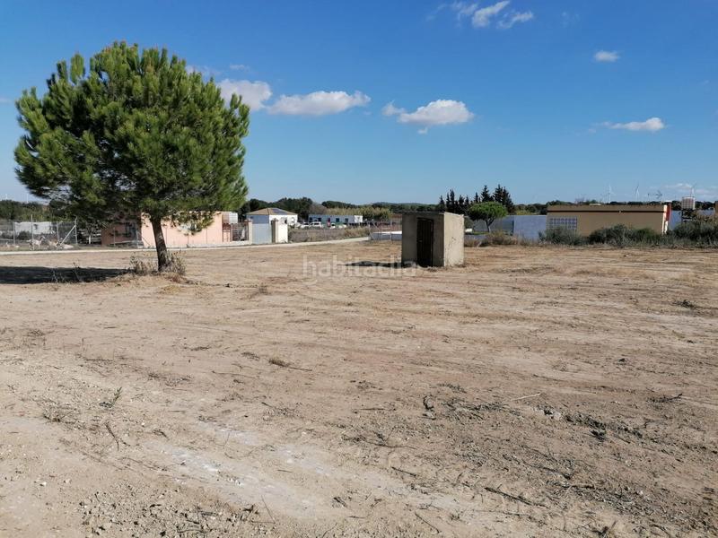 Foto 533a4e41-d9de-4a96-9fbb-add55f0a5dd7. Mas dans El Almedral Puerto Real