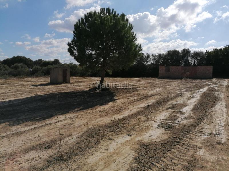 Foto c9fbb345-5e9d-4582-8417-f4357fbc576e. Mas dans El Almedral Puerto Real